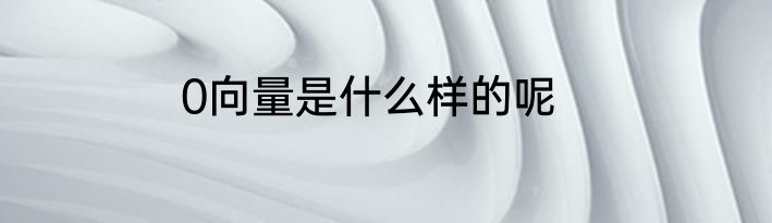 0向量是什么样的呢