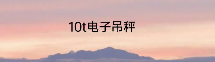 10t电子吊秤