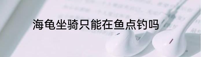 海龟坐骑只能在鱼点钓吗
