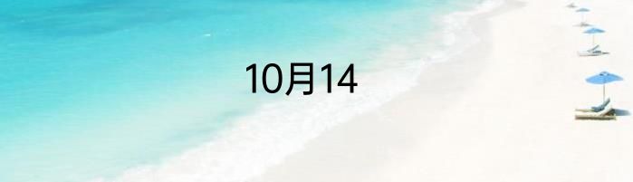 10月14