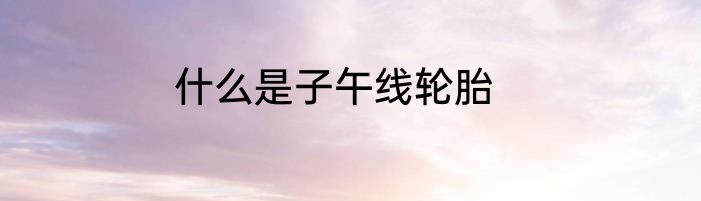 什么是子午线轮胎