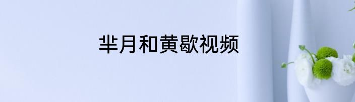 芈月和黄歇视频