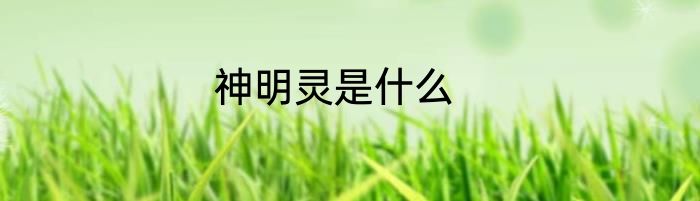 神明灵是什么