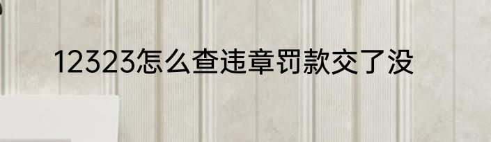 12323怎么查违章罚款交了没