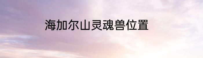海加尔山灵魂兽位置