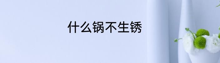 什么锅不生锈