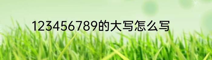 123456789的大写怎么写