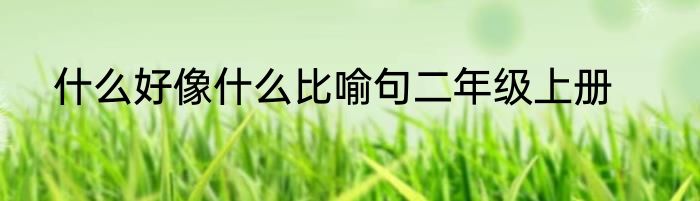 什么好像什么比喻句二年级上册