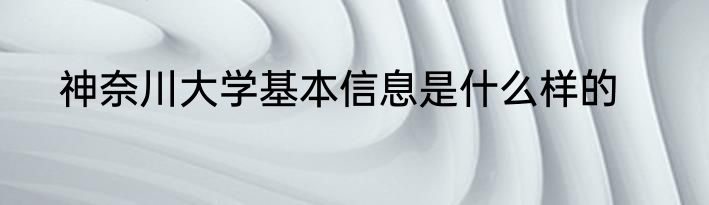 神奈川大学基本信息是什么样的