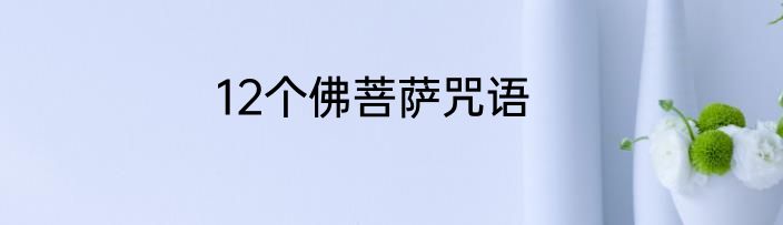 12个佛菩萨咒语