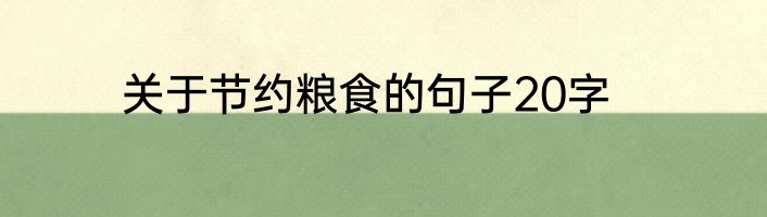 关于节约粮食的句子20字