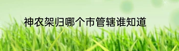 神农架归哪个市管辖谁知道