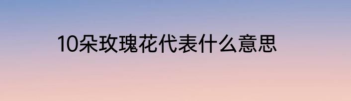 10朵玫瑰花代表什么意思