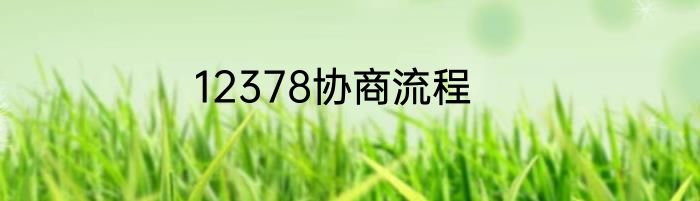 12378协商流程