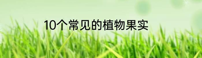 10个常见的植物果实