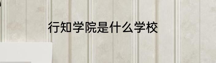 行知学院是什么学校