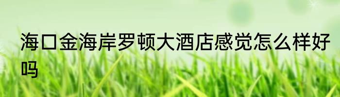 海口金海岸罗顿大酒店感觉怎么样好吗