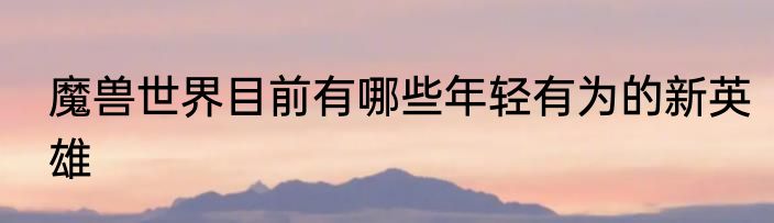 魔兽世界目前有哪些年轻有为的新英雄