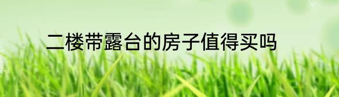 二楼带露台的房子值得买吗