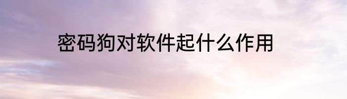 密码狗对软件起什么作用