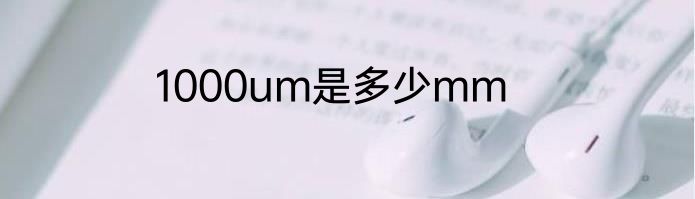 1000um是多少mm
