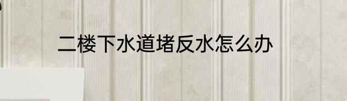 二楼下水道堵反水怎么办