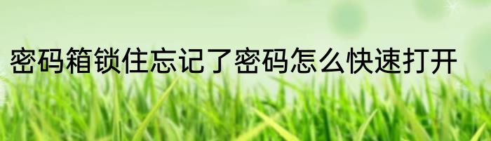 密码箱锁住忘记了密码怎么快速打开
