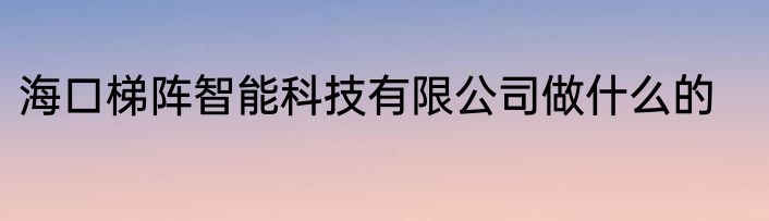 海口梯阵智能科技有限公司做什么的