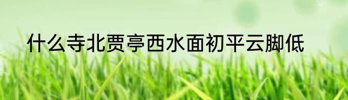 什么寺北贾亭西水面初平云脚低