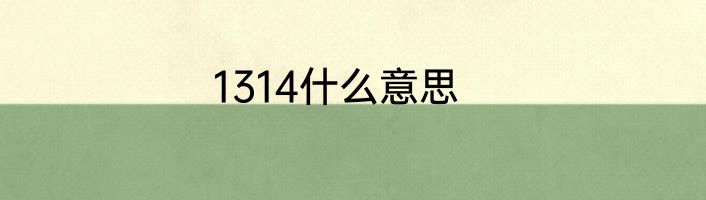 1314什么意思