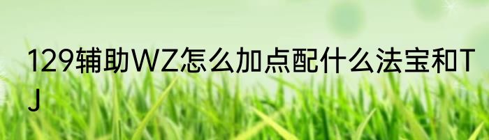 129辅助WZ怎么加点配什么法宝和TJ