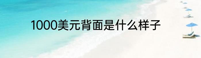 1000美元背面是什么样子