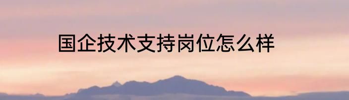 国企技术支持岗位怎么样