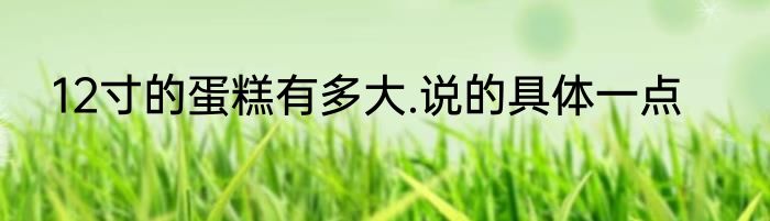 12寸的蛋糕有多大.说的具体一点