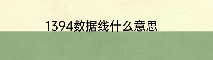 1394数据线什么意思