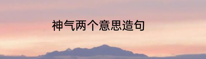 神气两个意思造句