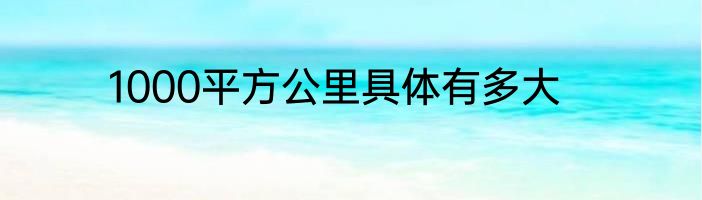 1000平方公里具体有多大
