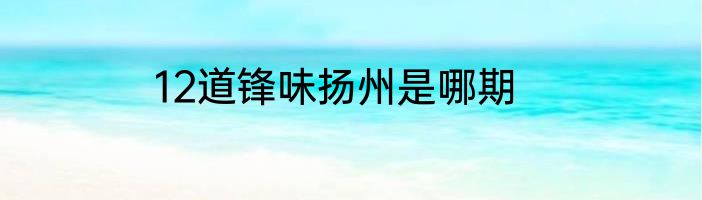 12道锋味扬州是哪期