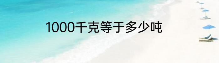 1000千克等于多少吨