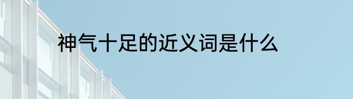 神气十足的近义词是什么