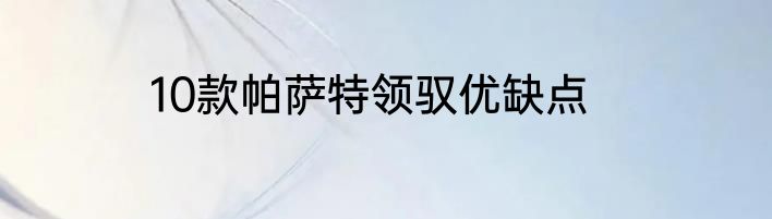 10款帕萨特领驭优缺点