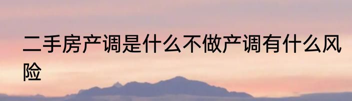 二手房产调是什么不做产调有什么风险