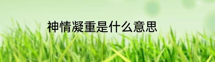神情凝重是什么意思