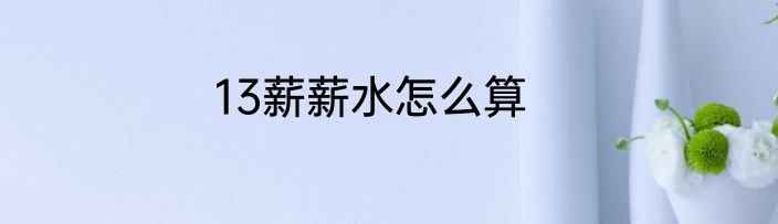 13薪薪水怎么算