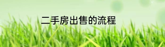 二手房出售的流程