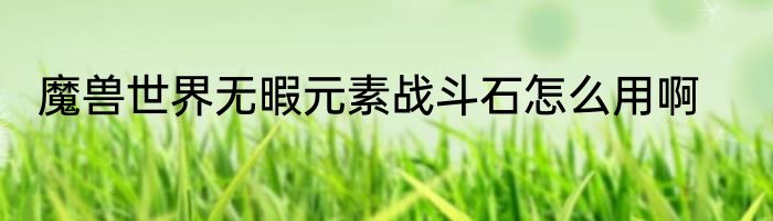 魔兽世界无暇元素战斗石怎么用啊