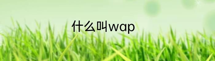 什么叫wap