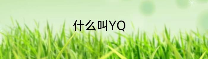 什么叫YQ