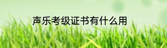 声乐考级证书有什么用