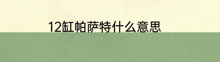 12缸帕萨特什么意思